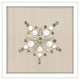 Caparazon Seashells and Coastal Icons White Framed Wall Art