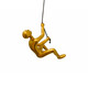 159538862