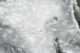 159538366