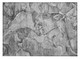 176952852