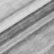 306683116