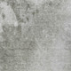 306755006