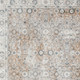 4' X 6' Tan Floral Distressed Area Rug