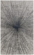 286009502