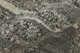 306719778