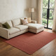 10' X 14' Red Hand Woven Area Rug