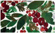 2' X 4' Green And Red Christmas Floral Washable Area Rug With UV Protection