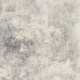 290637138