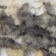 6' X 9' Gray Floral Distressed Area Rug