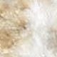 8' X 10' Ivory Floral Distressed Area Rug