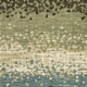 290673935