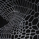 286080181