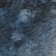 306819079