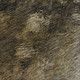 8' X 10' Chocolate And Beige Abstract Washable Indoor Outdoor Area Rug