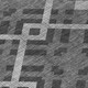 306756645