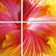 Set Of Four Print Wall Art