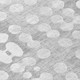 230050579