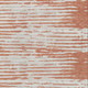 230062877
