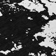 306764733