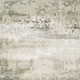 286161520
