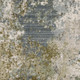 285974466