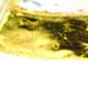 159754666