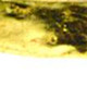 159754670