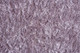 5' X 8' Purple Shag Tufted Handmade Area Rug