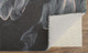 159697821