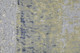 306825004