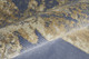 286200302