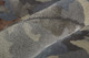 159699886
