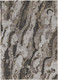 167826867