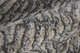 159713403