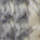 294336165