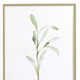Set Of Two Olive Leaves White Framed Print Wall Art