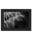 285971205
