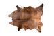 6' X 7' Brown Cowhide Hand Knotted Area Rug