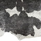 159750575