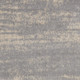 230036441