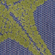 244205965
