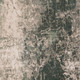 166818268