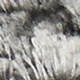 285986011