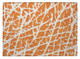 176944169
