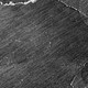 306725444