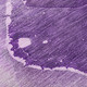 306817444