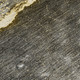 306752422