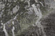 306718638