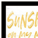 Set Of Two Fun in the Sun-Sunshine on my Mind Black Framed Wall Art