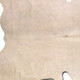 6' X 7' Off White Cowhide Cowhide Print Handmade Area Rug